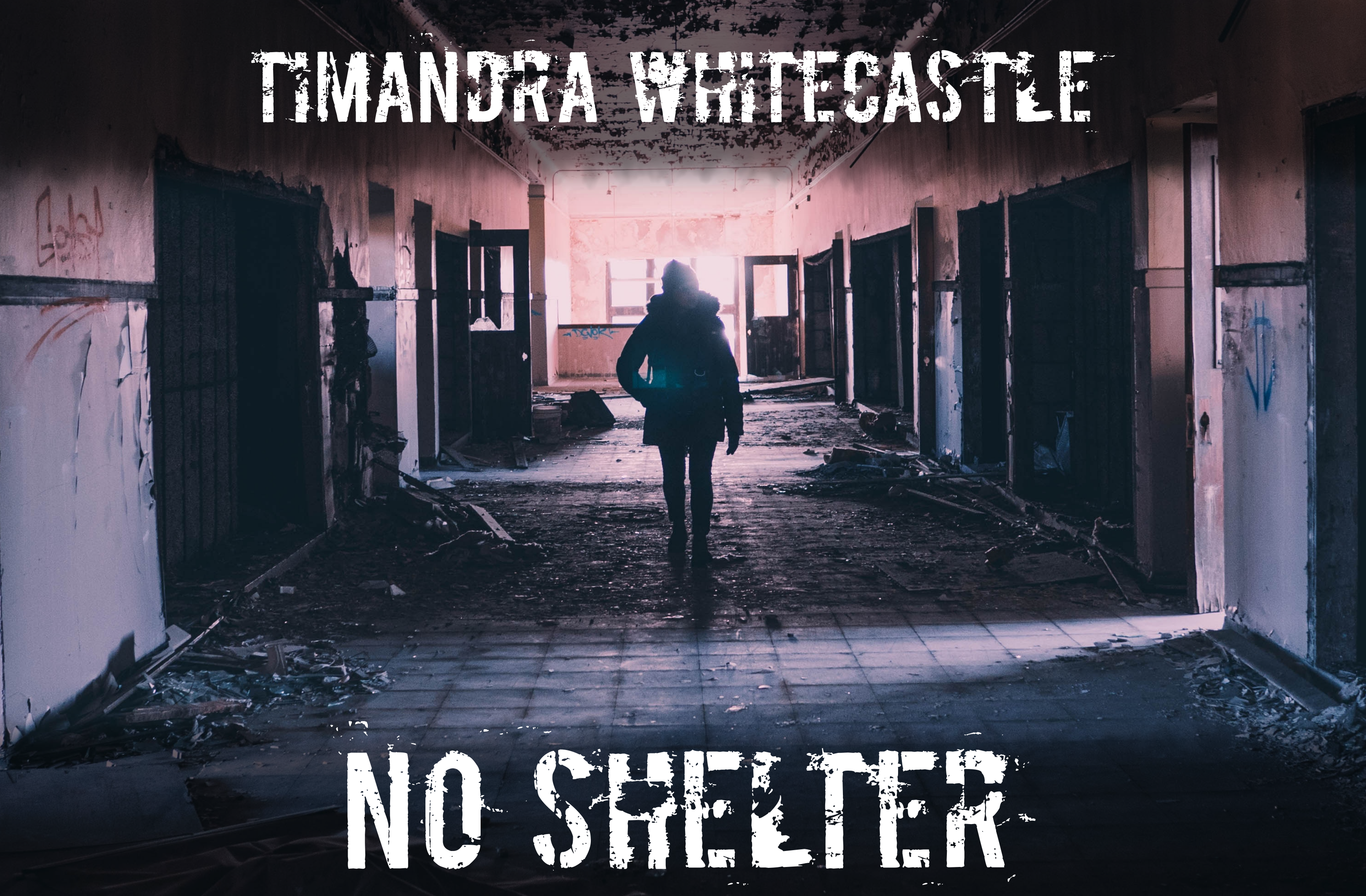 No Shelter by Timandra Whitecastle
