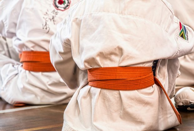 Martial Arts (Stock Feature)