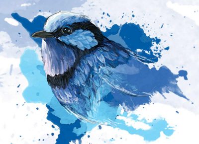 Ashley Capes (Author of The Fairy Wren)