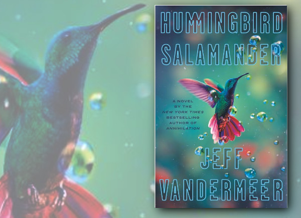 hummingbird salamander review