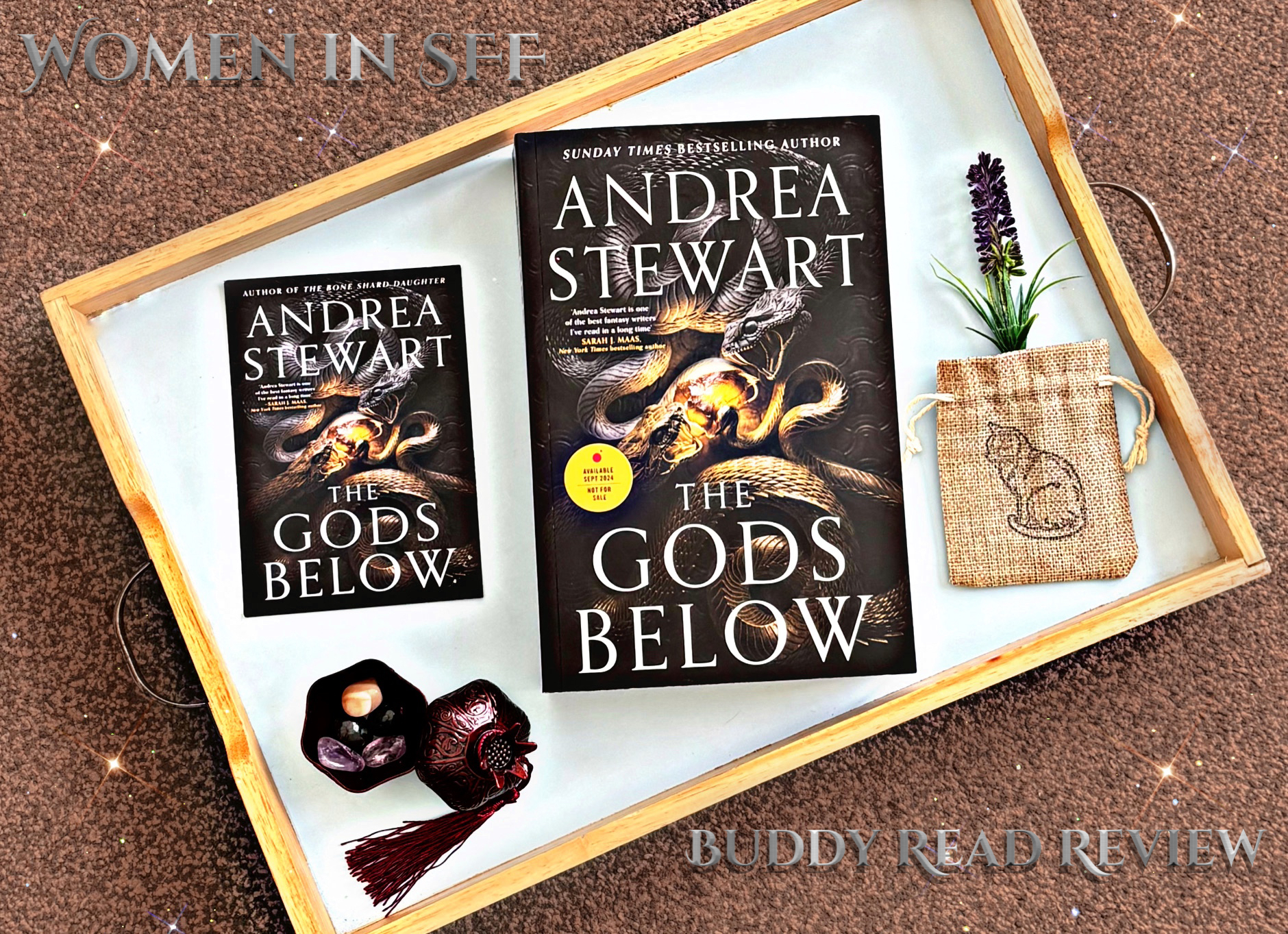 THE GODS BELOW by Andrea Stewart (BUDDY READ REVIEW) | Fantasy-Hive